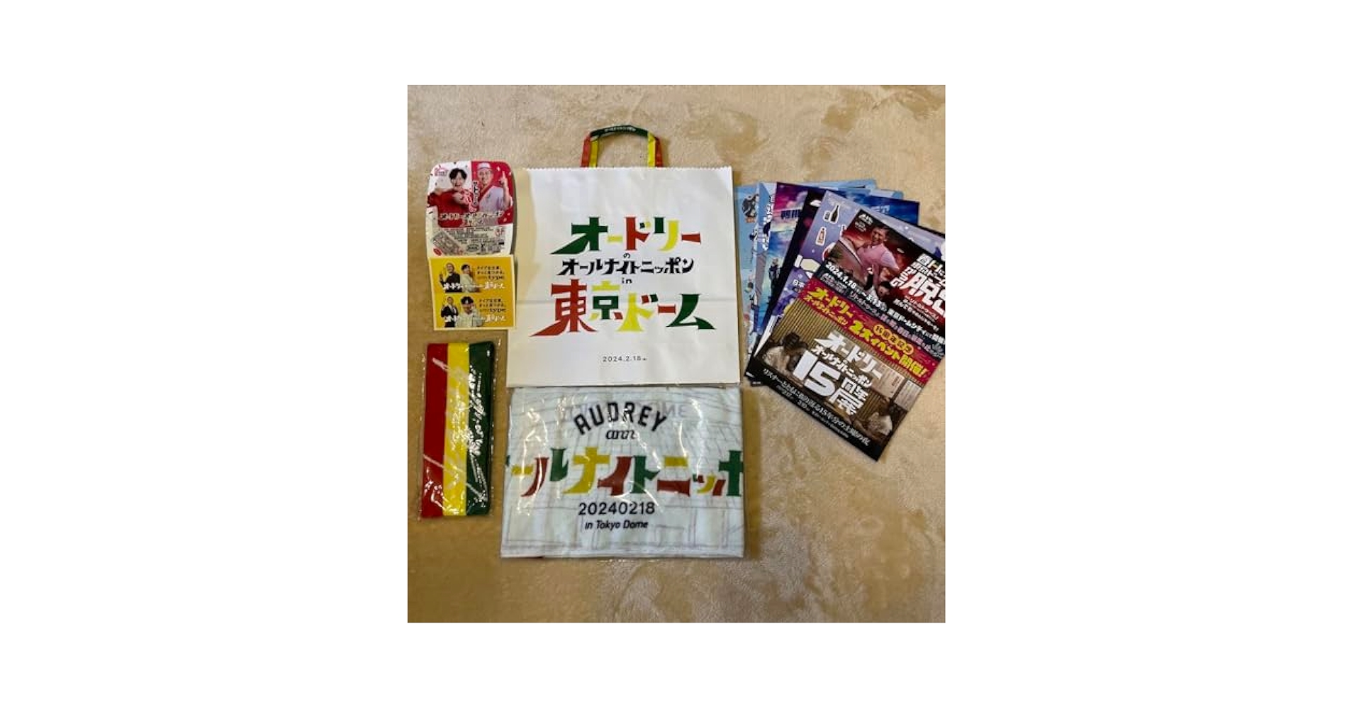 オードリーのオールナイトニッポンin東京ドーム グッズ オードリーのオールナイトニッポン in 東京ドーム』オフィシャル